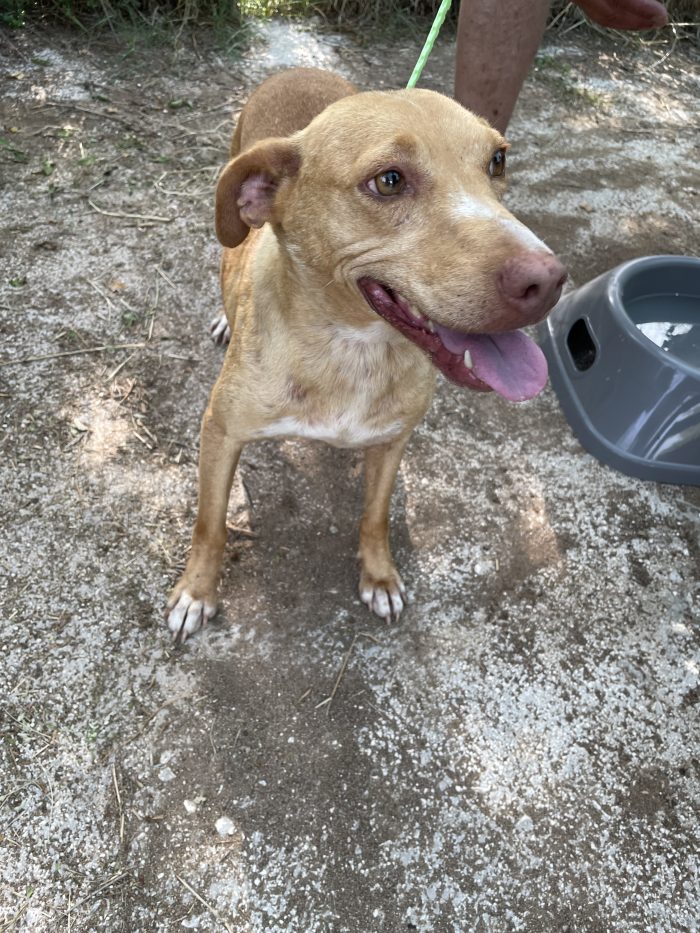 Stella ha perso il suo punto di riferimento
