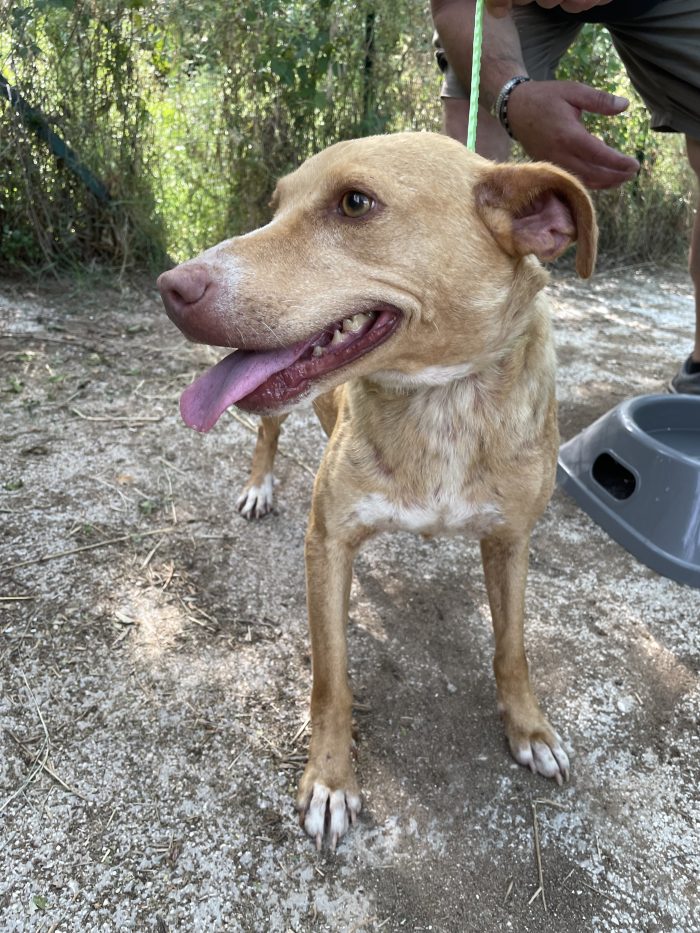 Stella ha perso il suo punto di riferimento - media 4