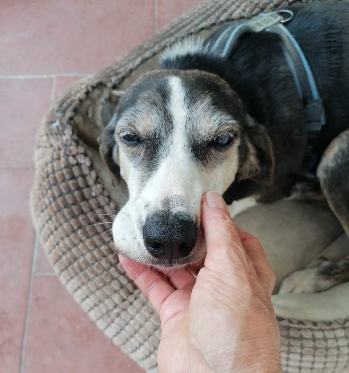 Gemma 💔 14 anni di reclusione