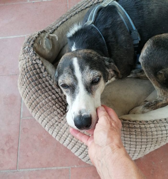 Gemma 💔 14 anni di reclusione