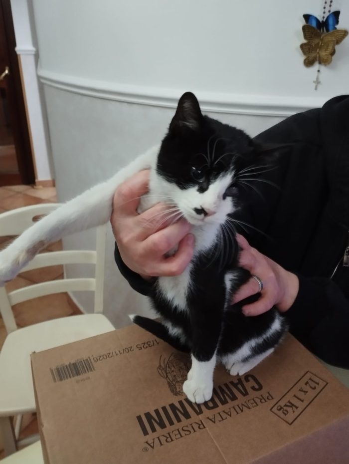 Fruttella, ipovedente a un occhietto
