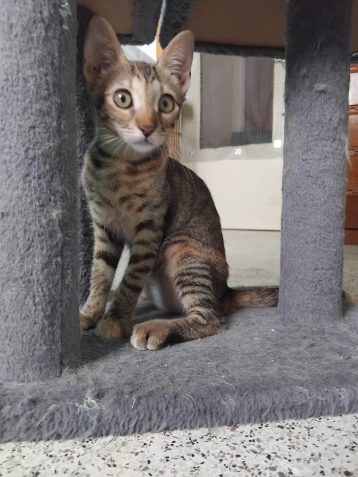 Susina e i suoi bellissimi occhi!