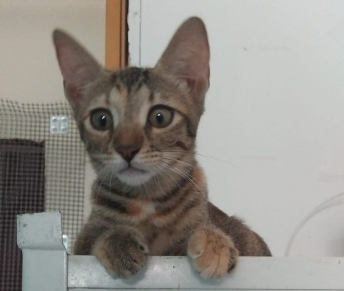 Susina e i suoi bellissimi occhi!
