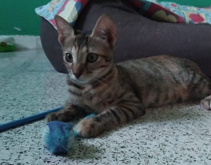 Susina e i suoi bellissimi occhi!