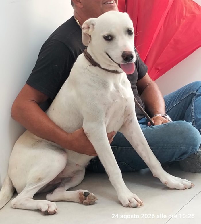 Bella la cucciolona che ama i mici