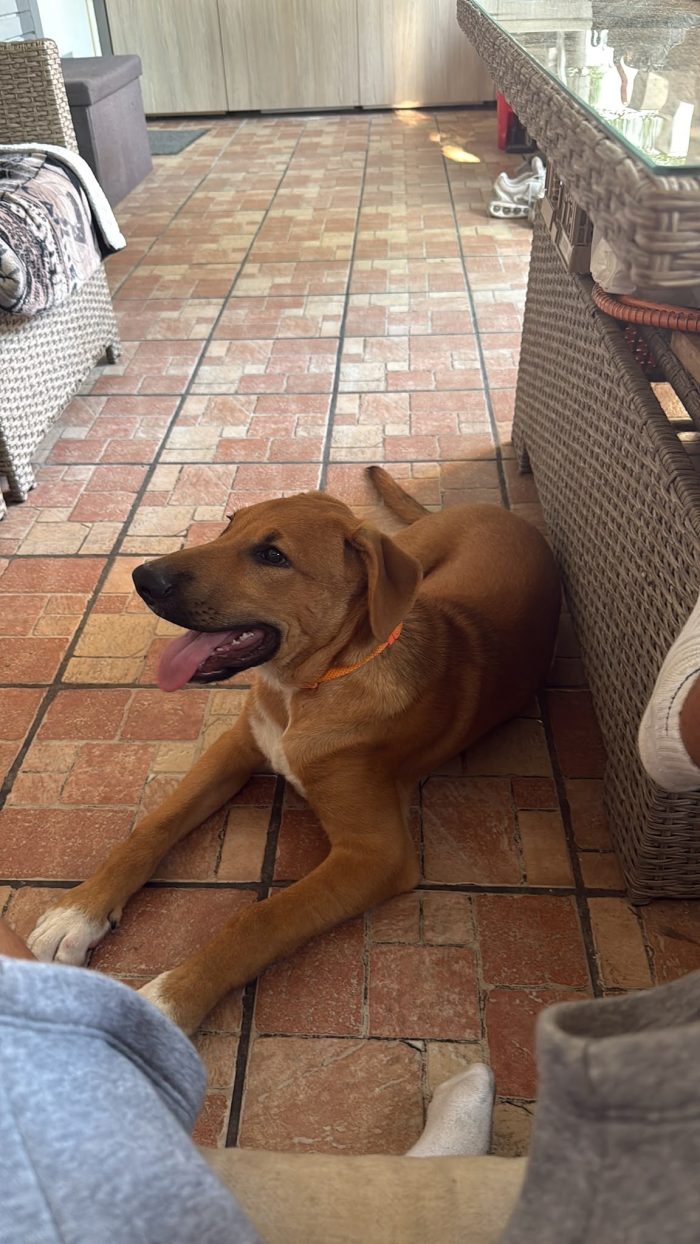 chico cerca casa
