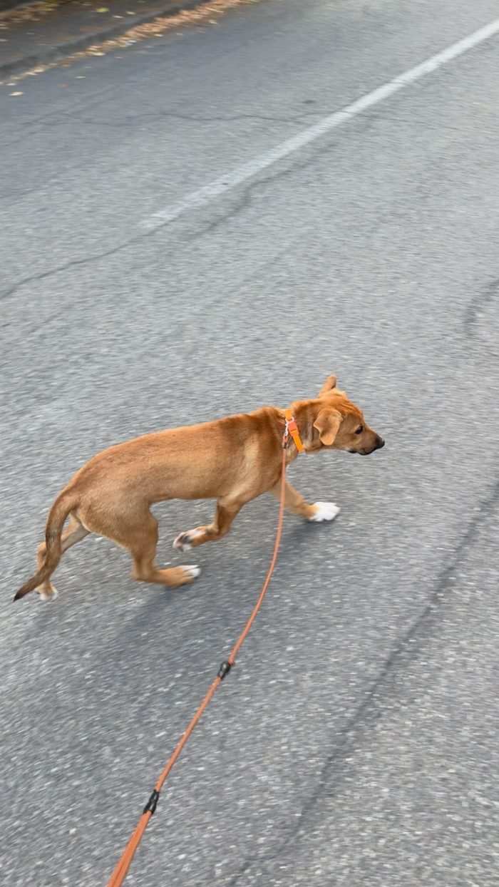 chico cerca casa