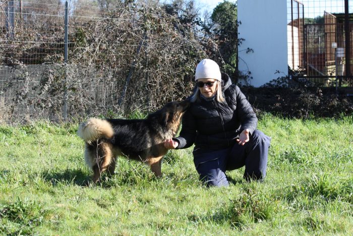 Dolce Enza in adozione - media 5
