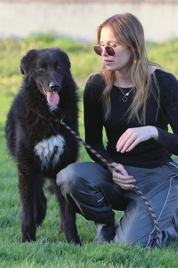 Birbo, un cane con il vestito di pecora - media 4
