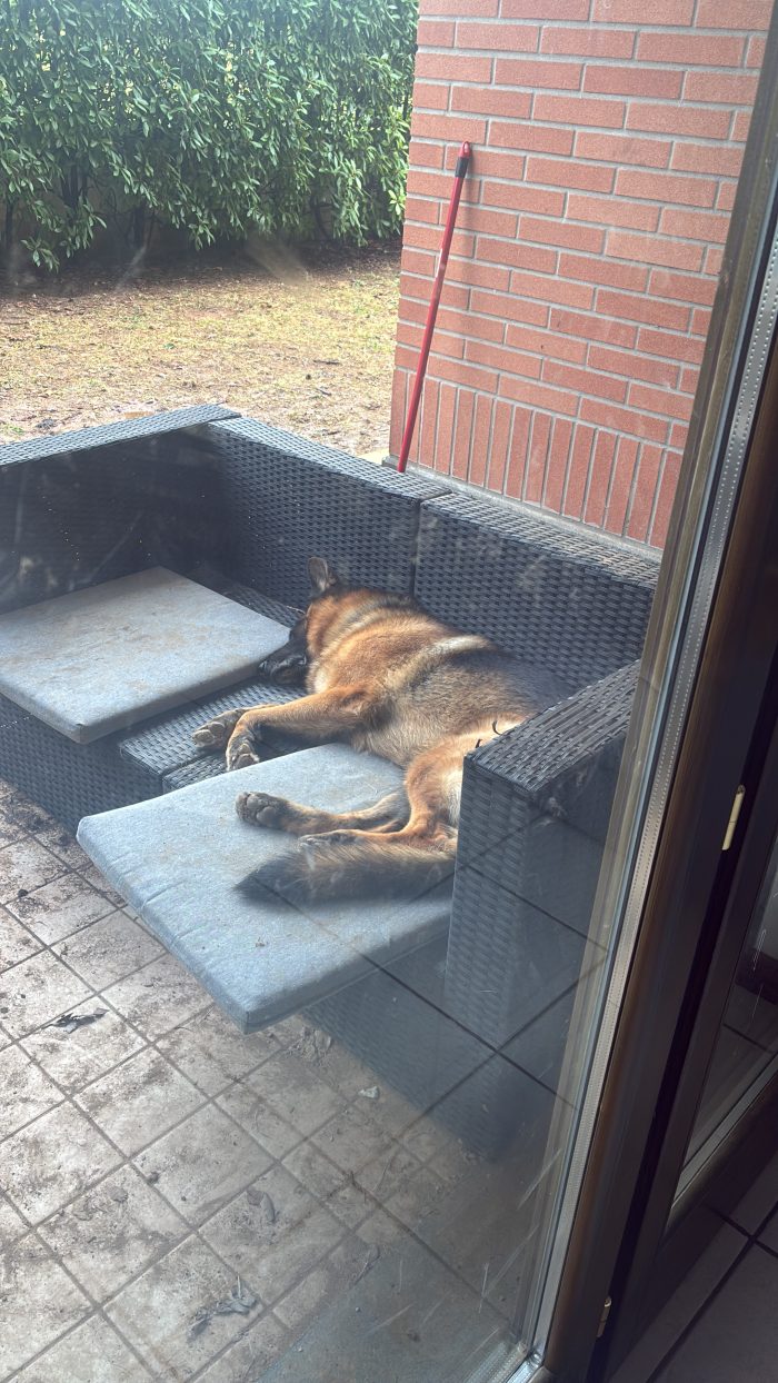 Dea cerca casa