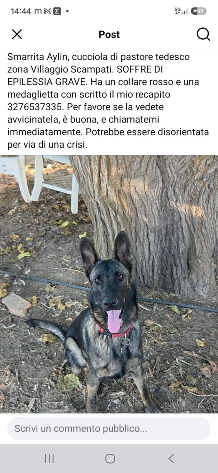 Smarrita