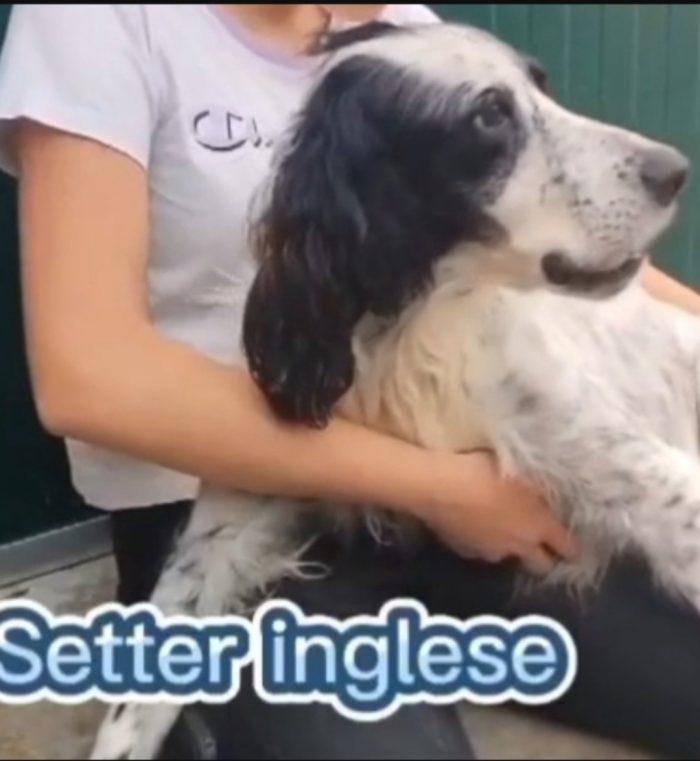 Tyler Setter 11anni ipovedente salito 18mesi fa in pensione BRESCIA
