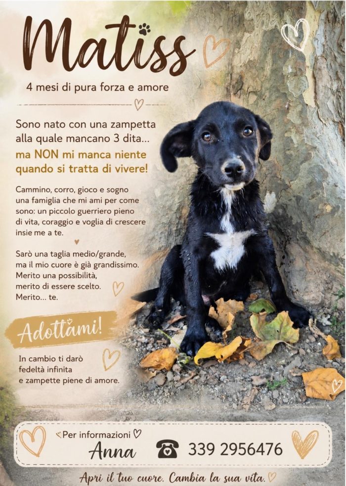 Matiss "adozione del cuore"
