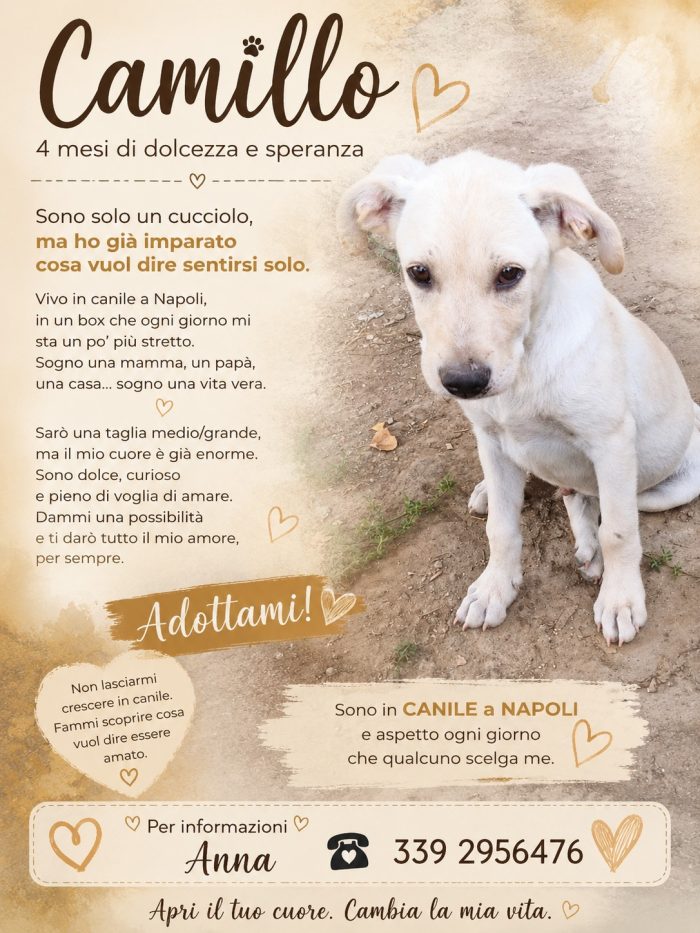 Camillo il 'timido'