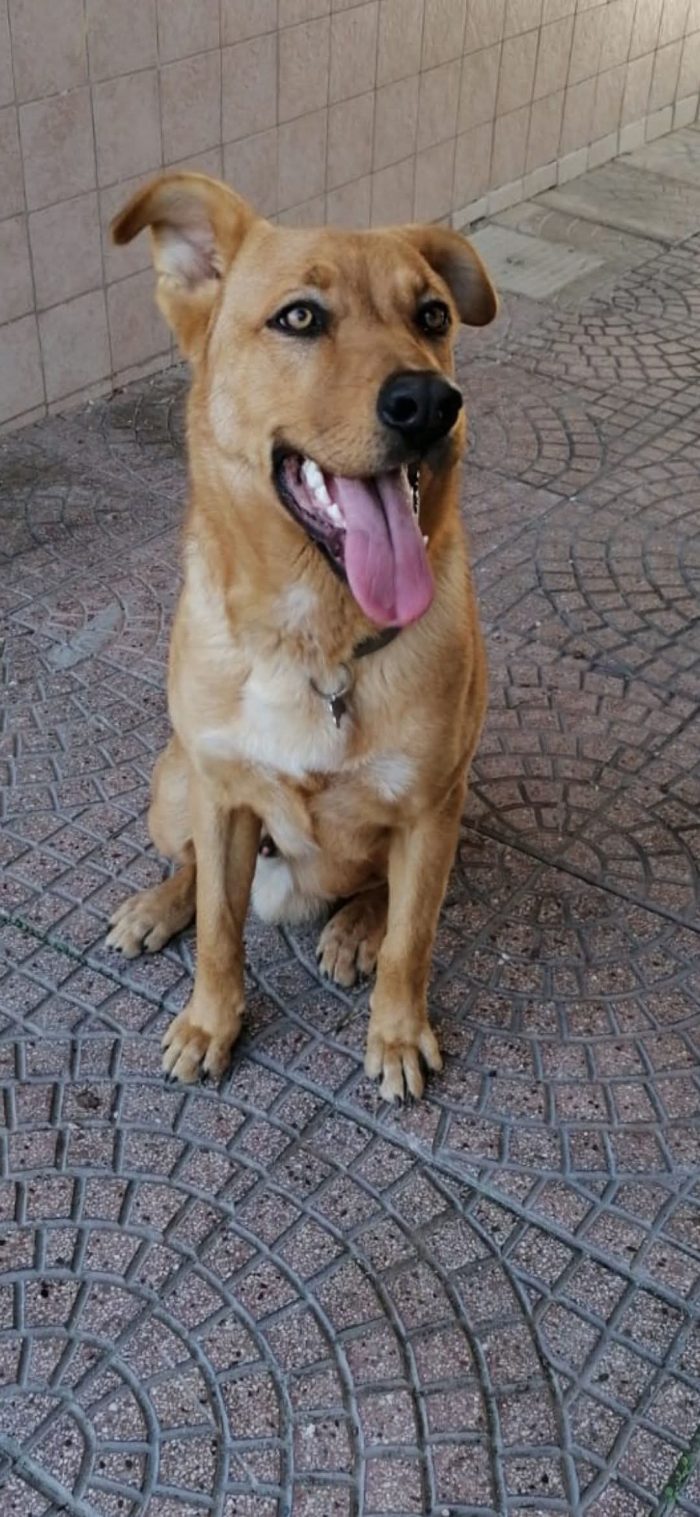 Juko  cerca famiglia paziente