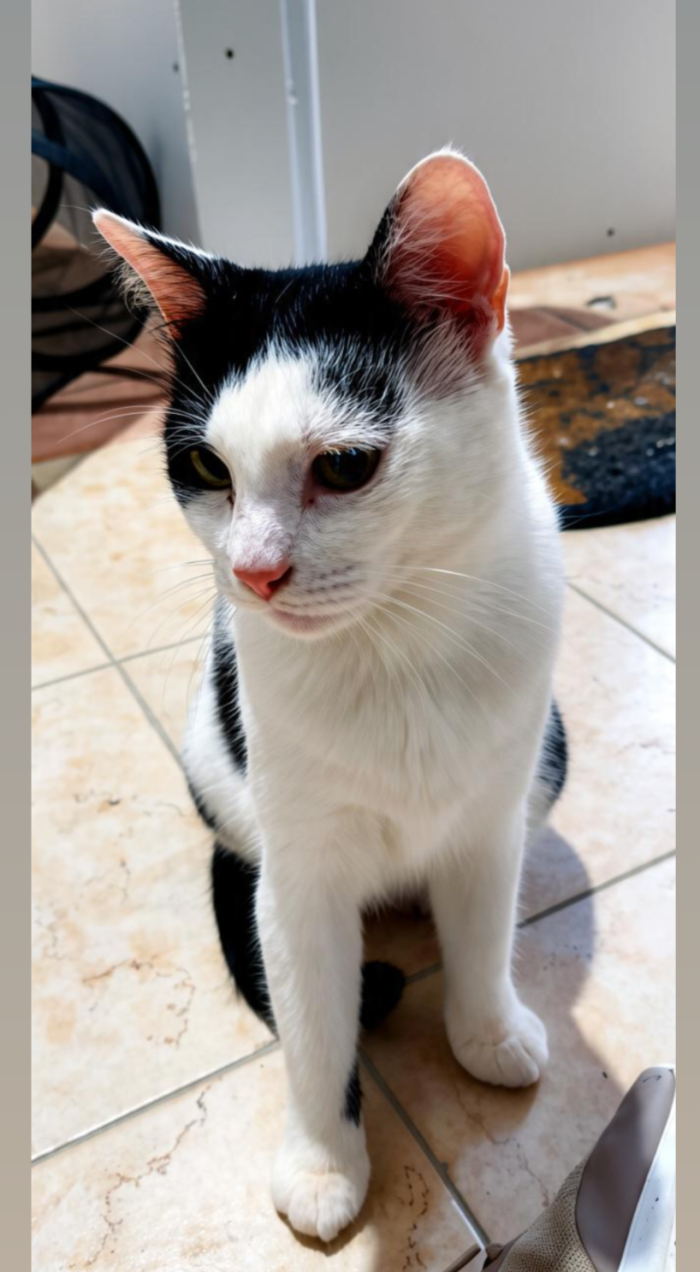 Nina cerca casa urgentemente
