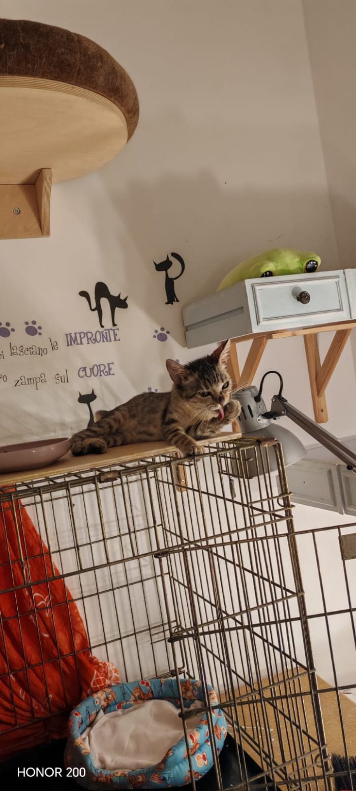 Neanche 3 mesi, piccola e dolce - media 10