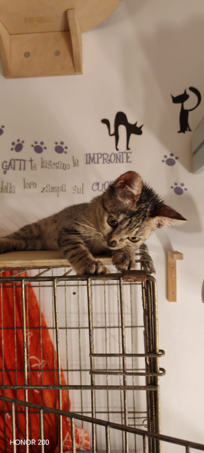 Neanche 3 mesi, piccola e dolce - media 9