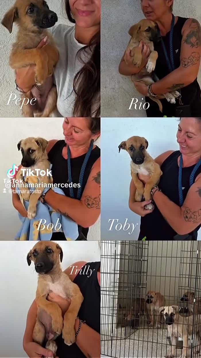 Trilly cerca una famiglia paziente