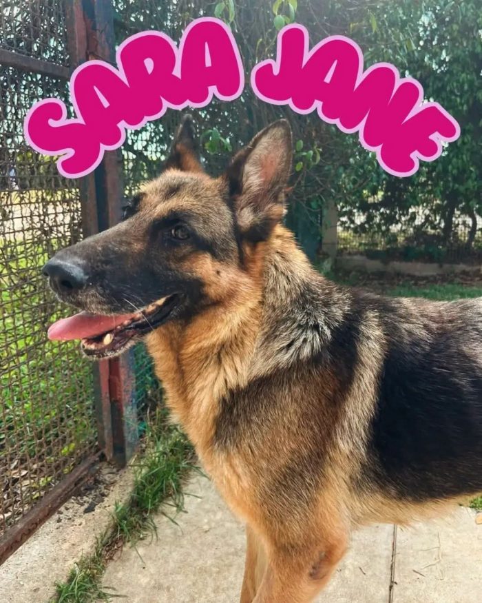 Sara Jane e Devid....non separiamoli 🙏