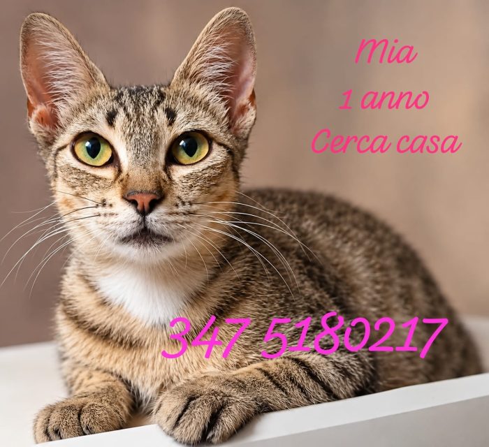 Mia, neanche un anno