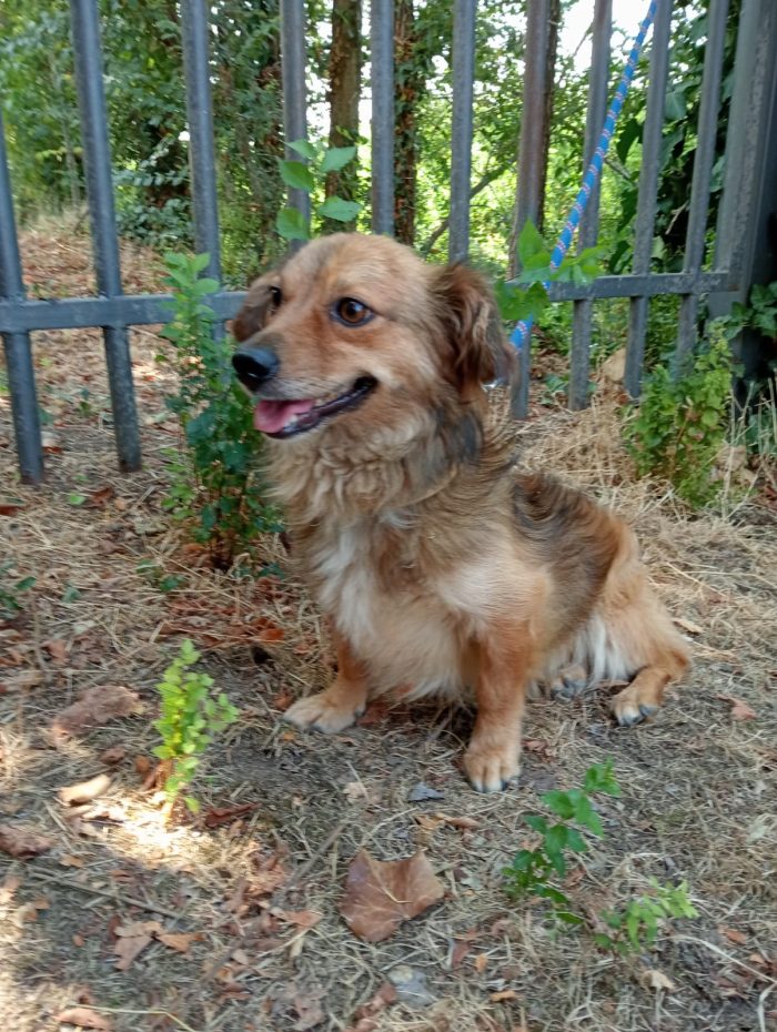 Pepito 2 anni taglia piccola
