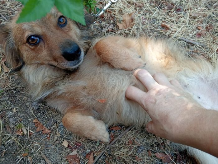 Pepito 2 anni taglia piccola