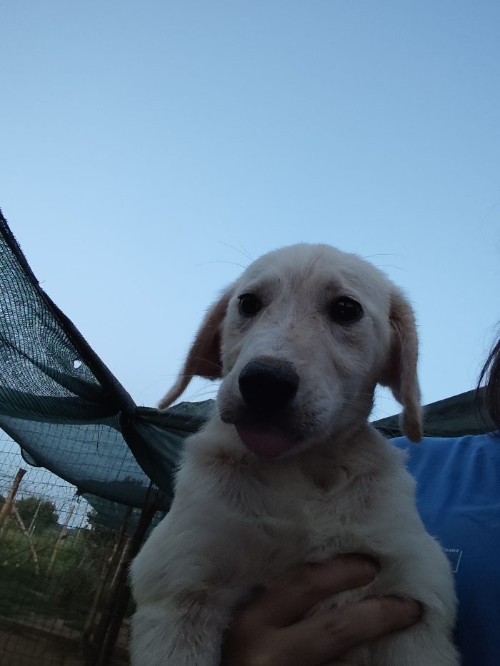 Luna 🌙🌙🌙🌙🌙