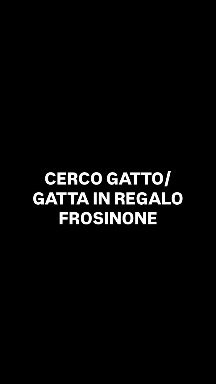 cerco gatta/o in regalo a frosinone e provincia