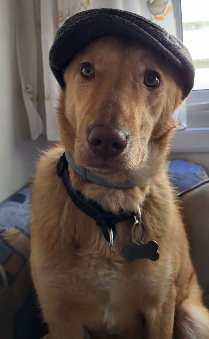 Paolo, dolcissimo e bisognoso di amore