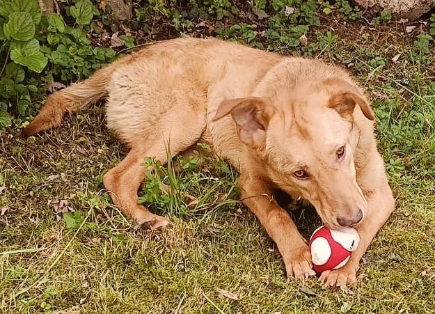 Paolo, dolcissimo e bisognoso di amore