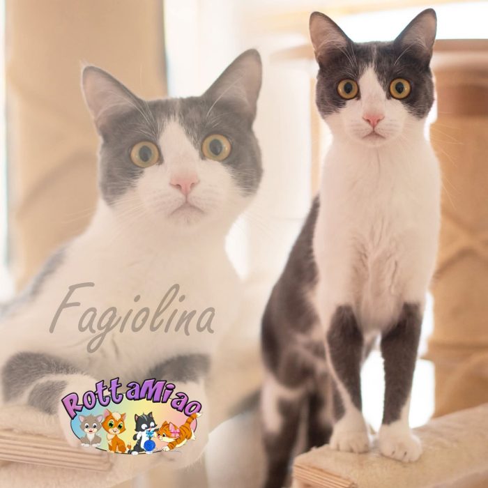Fagiolina, un concentrato di dolcezza e simpatia