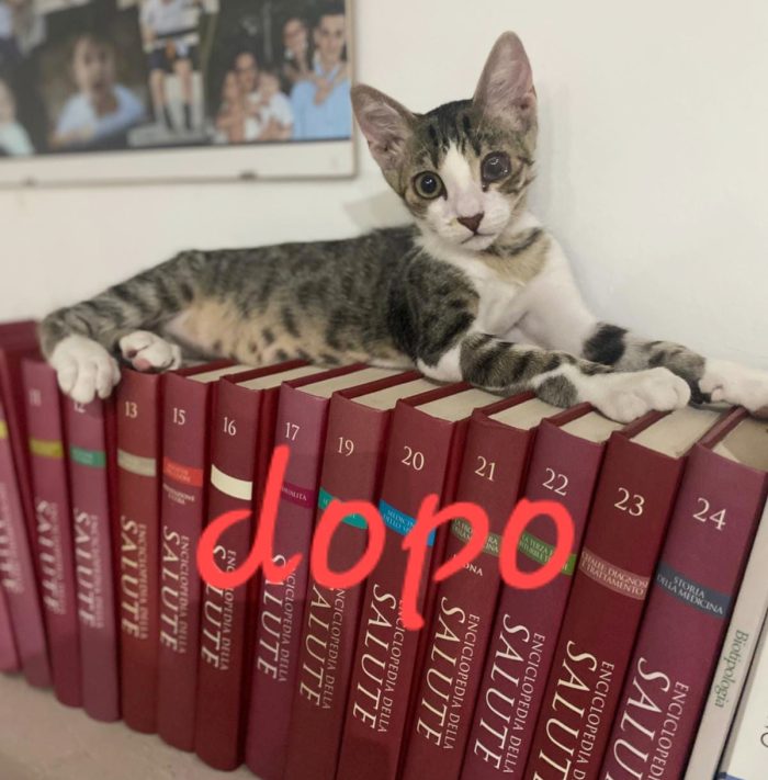 Ares, dolcissimo e super fusaro