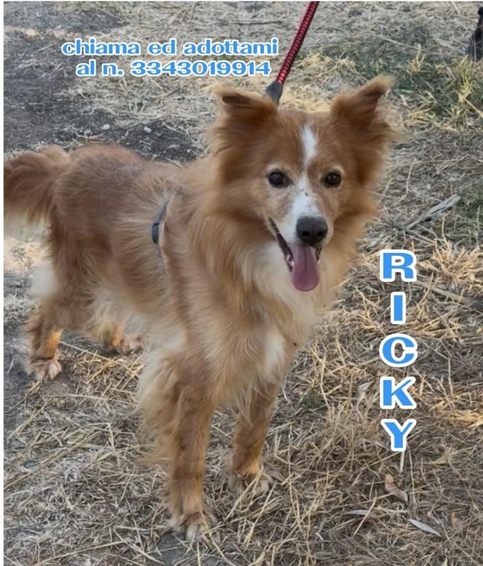 Ricky ti aspetta