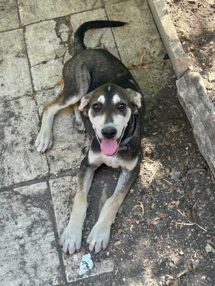 BRAZER NON CERCA SOLO UNA CASA. CERCA LA SUA PERSONA. ❤️