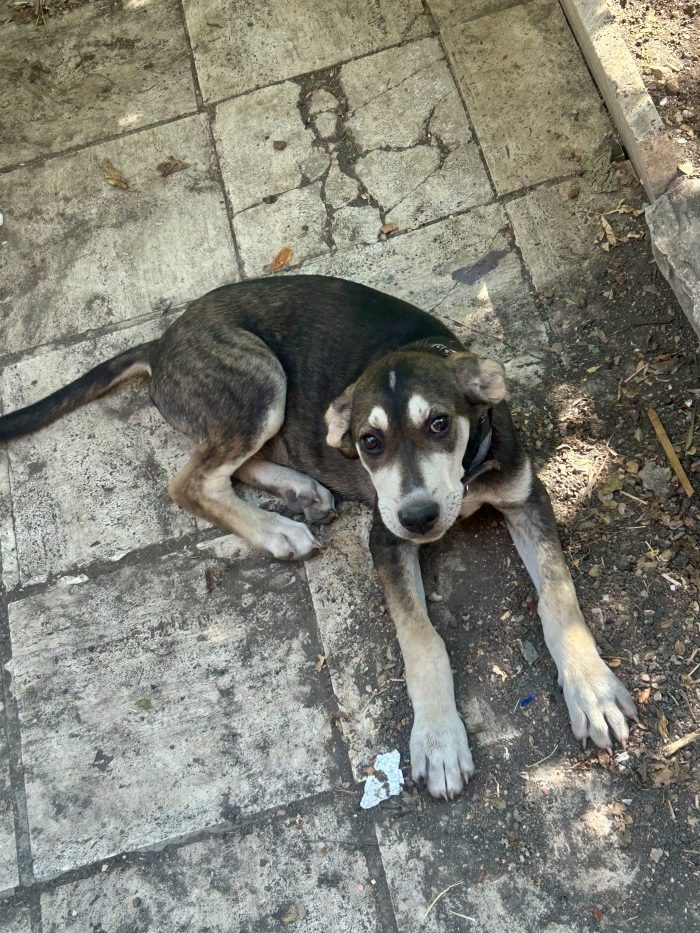 BRAZER NON CERCA SOLO UNA CASA. CERCA LA SUA PERSONA. ❤️