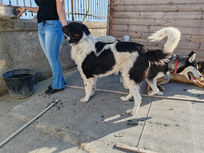 Oscar cerca una famiglia semplice e tanto amore - media 5