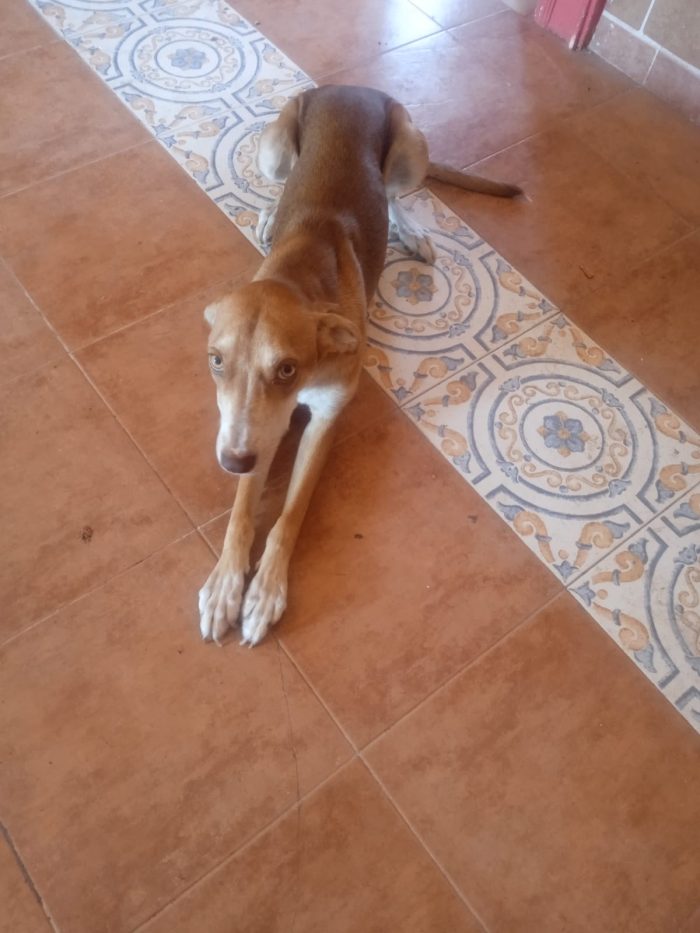 Wendy non lo sa ma non la vogliono più - media 5