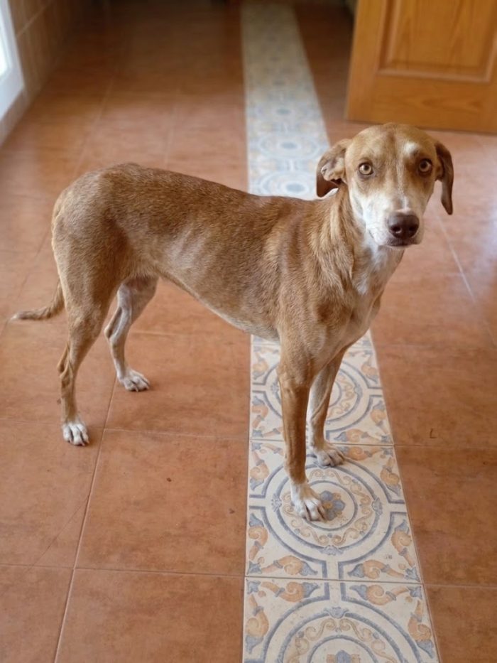 Wendy non lo sa ma non la vogliono più - media 4