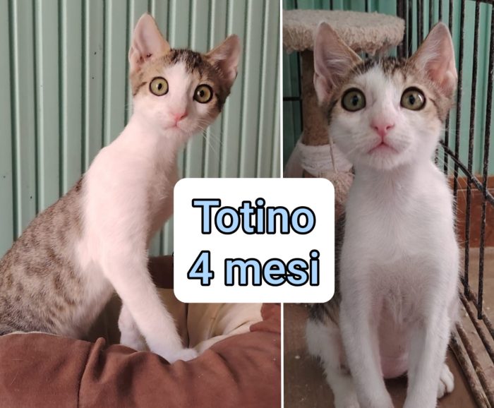 Micini tenerissimi - media 9