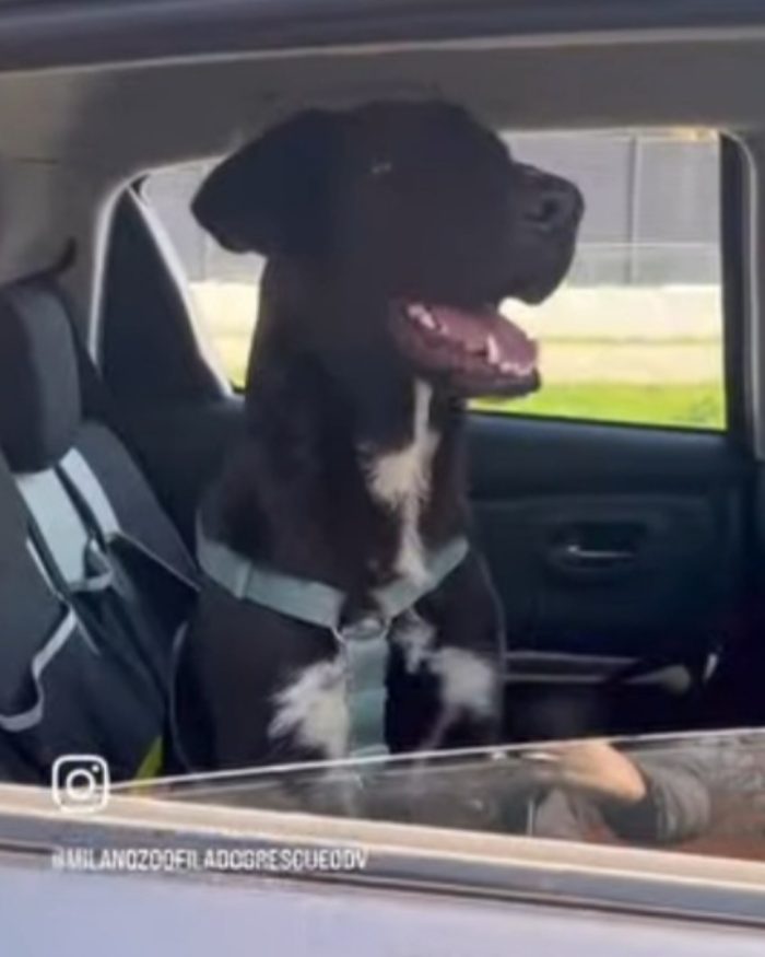 Aky 2anni salito 18mesi fa,ANCORA IN BOX!! HELP MILANO - media 6