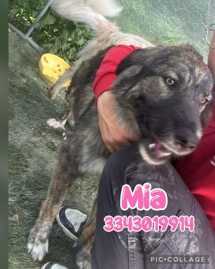 Mia aspetta la sua dolce famiglia