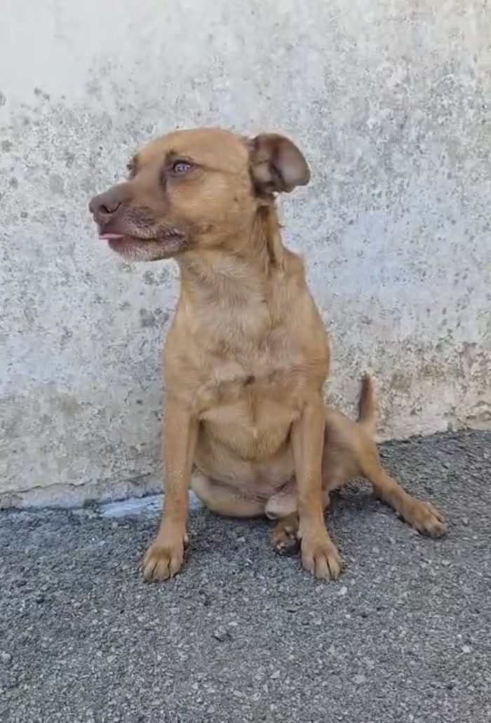 Otto il simpaticone