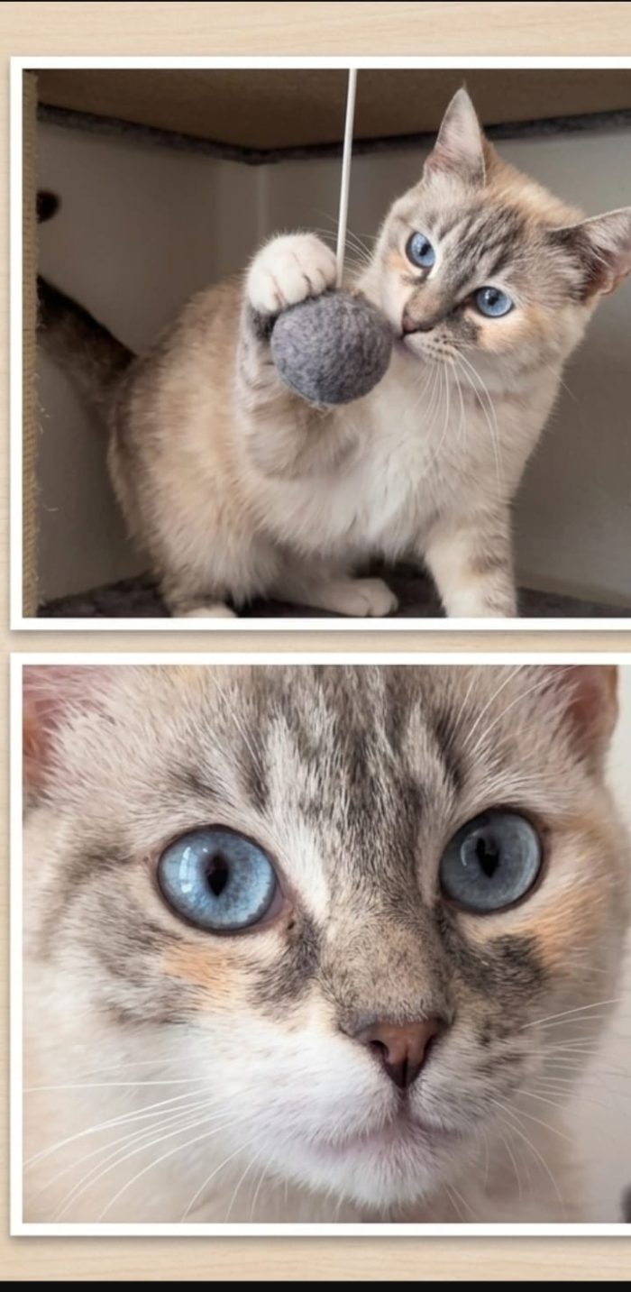 Perla, dolcissima e bellissima