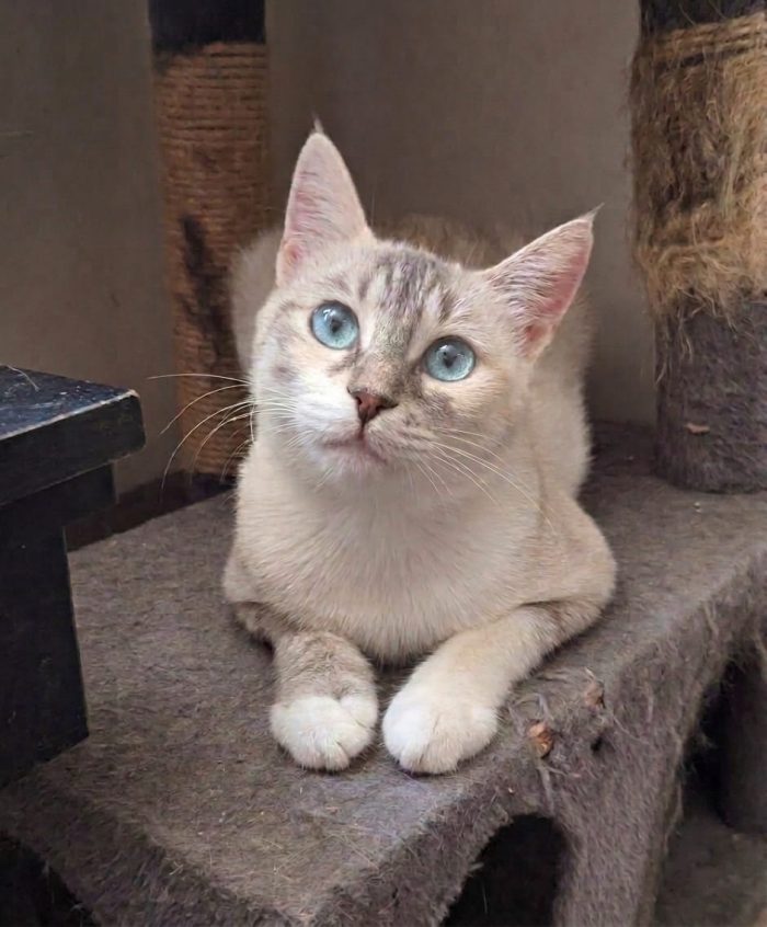 Perla, dolcissima e bellissima