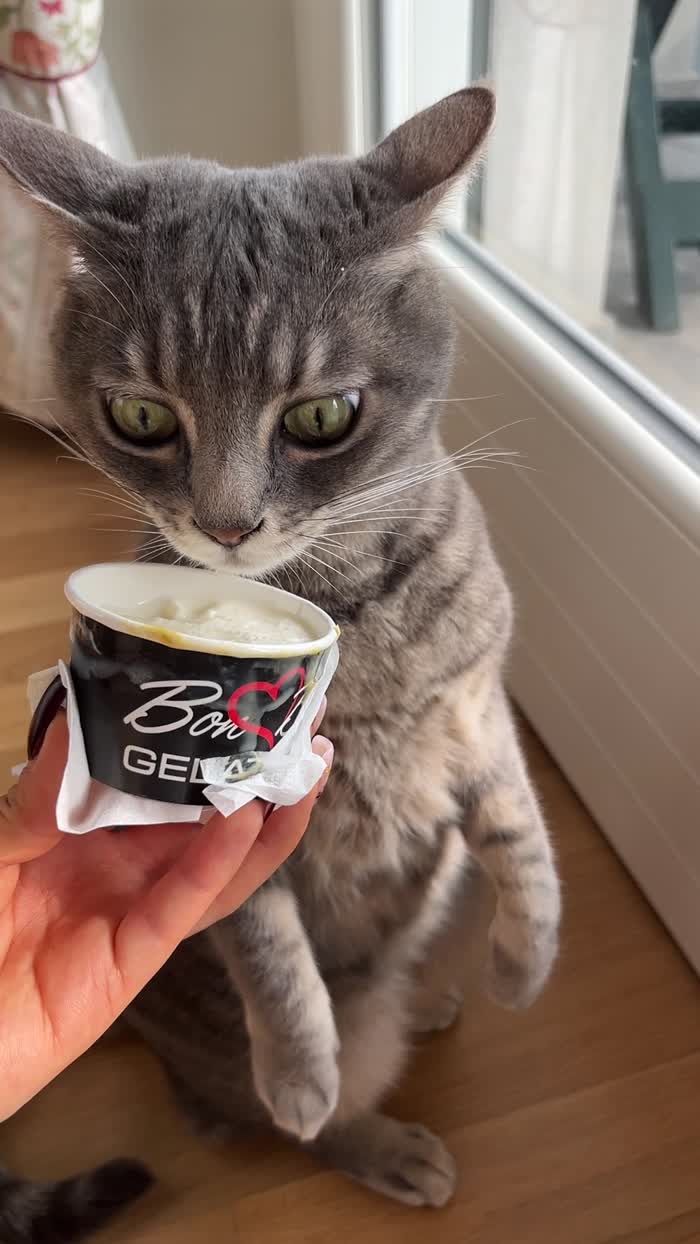 Lio, la buongustaia! - media 6