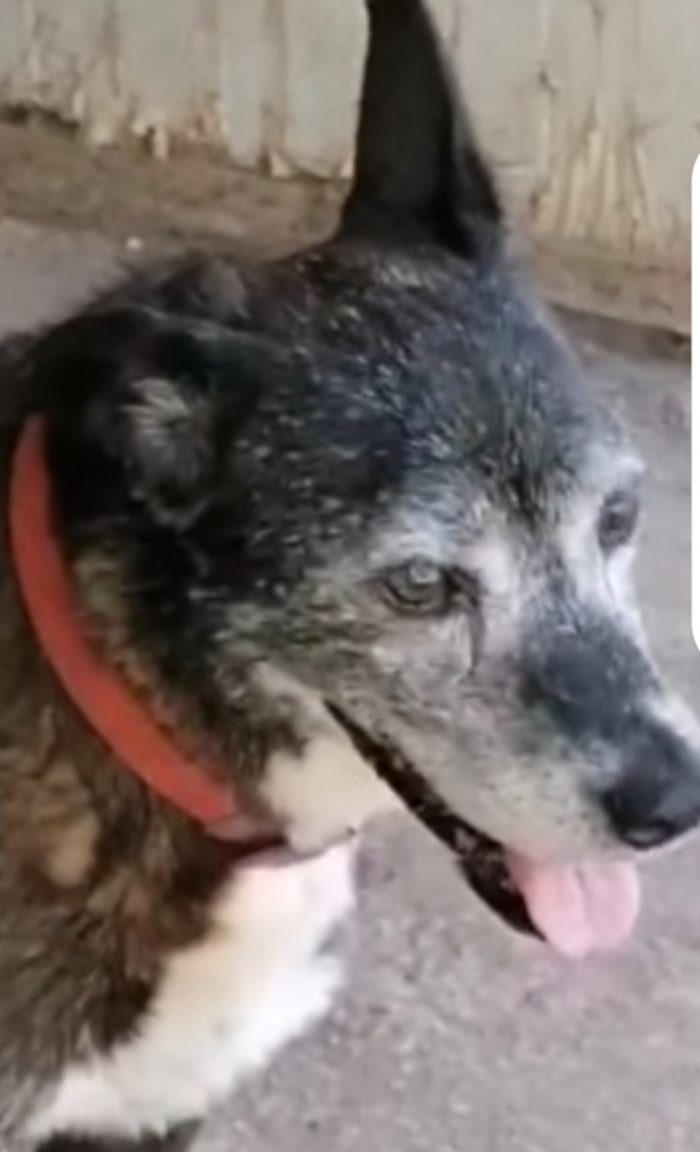 Lady 12/13 anni una vita inutile..nessuno l ha scelta.NAPOLI