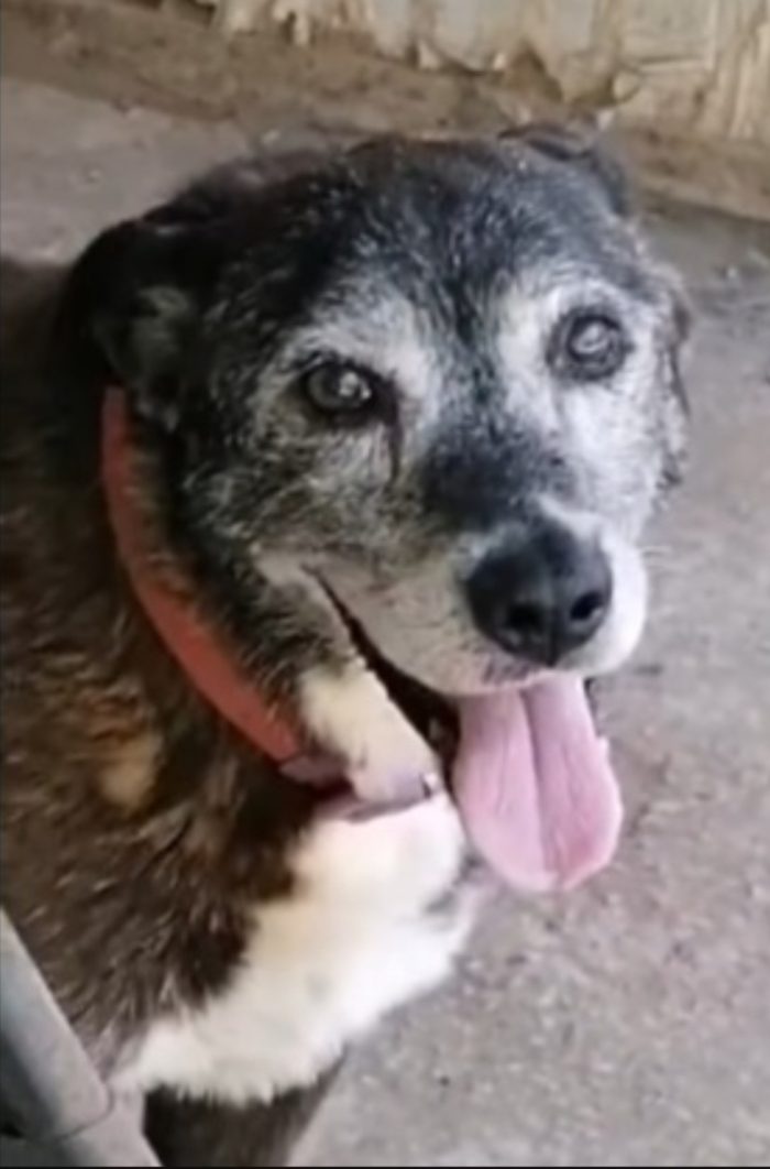 Lady 12/13 anni una vita inutile..nessuno l ha scelta.NAPOLI