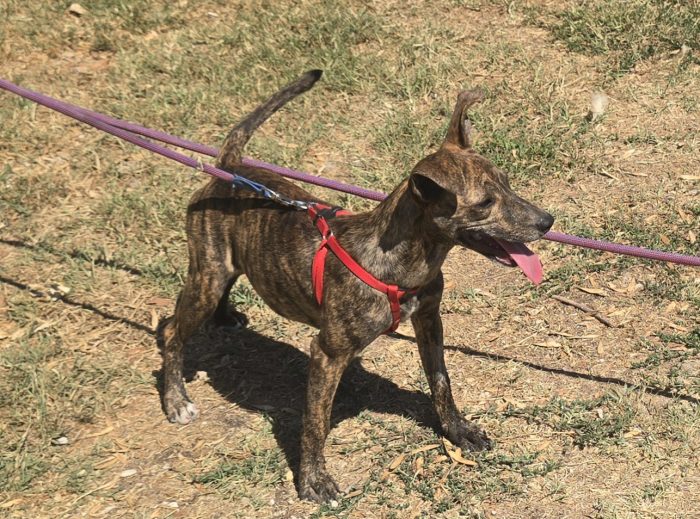 Clarissa 6 mesi taglia piccola