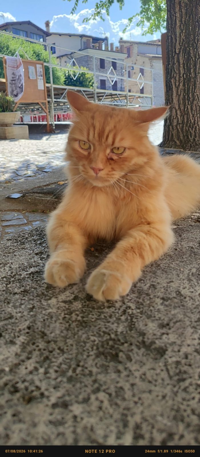 LEO E PUFFETTO NON CHIEDONO ALTRO CHE IL TUO AMORE
